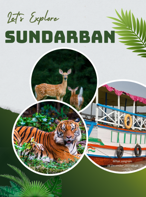 White and Green Modern Kerala Tour and Travel Agency Promotion Instagram Post (1)