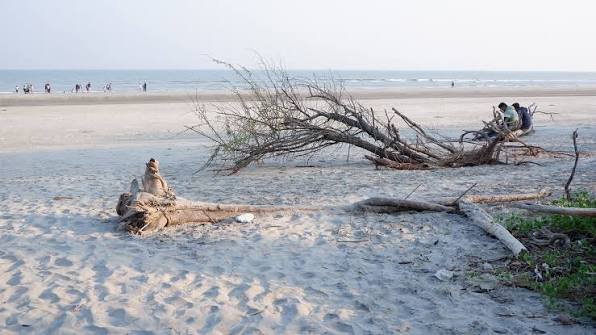 Arindam Saha