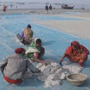 gangasagar-fishing