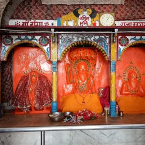 kaplmuni-1